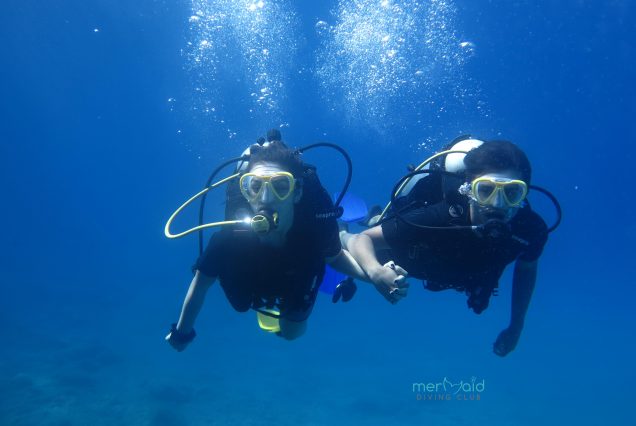 Fethiye Su altı Tüplü Dalış turu